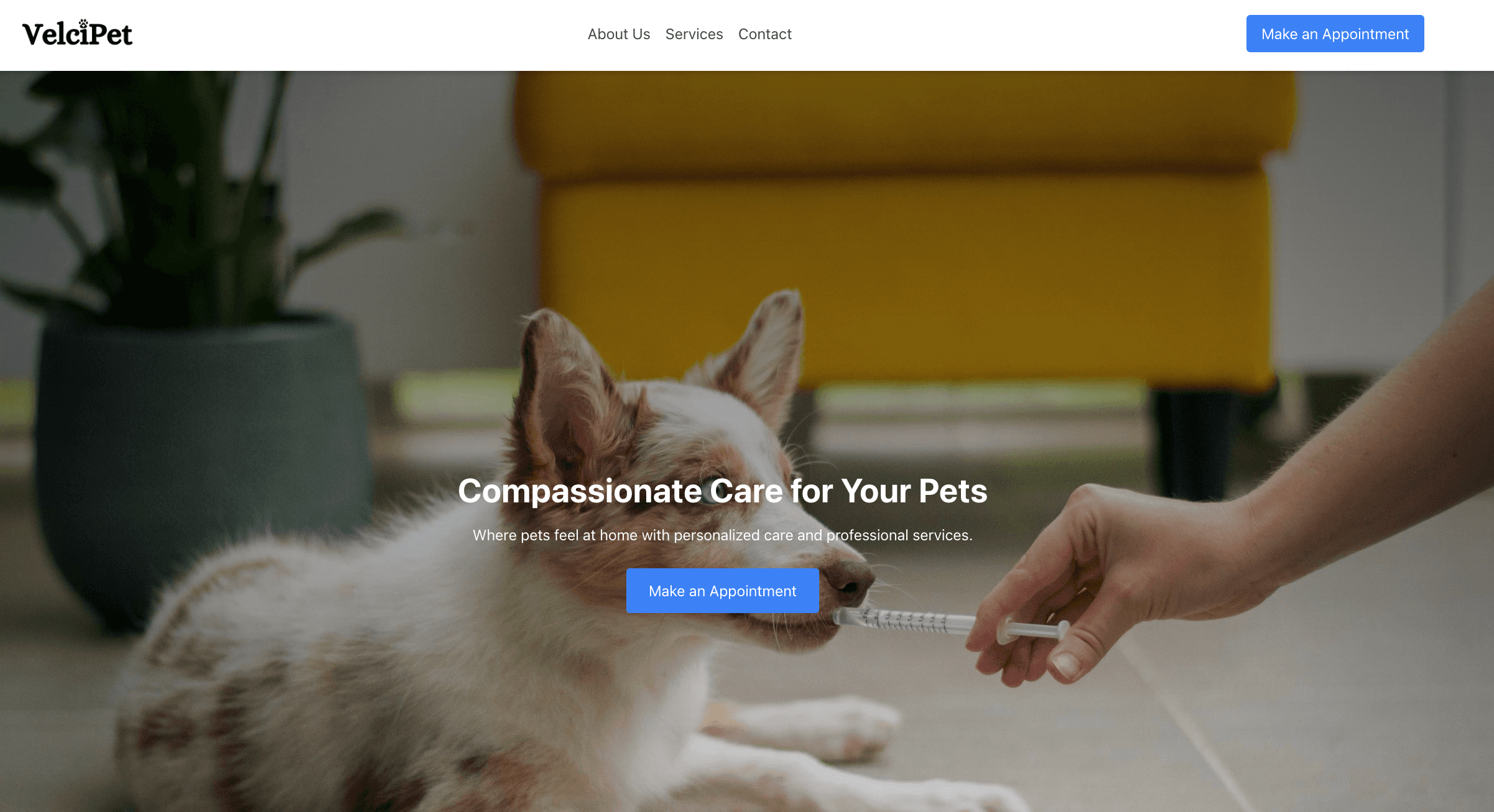 Vet Clinic
